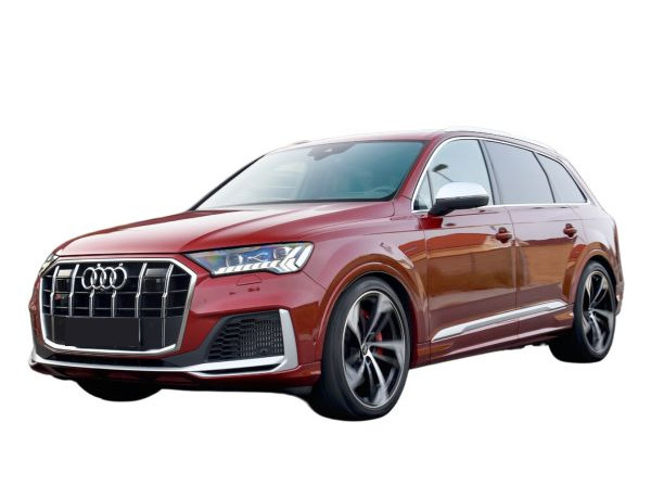 Kit chra AUDI SQ7 (4M)