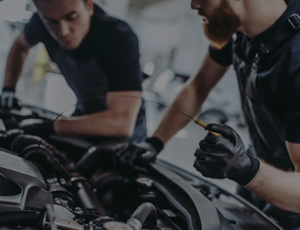 Service Professionnel